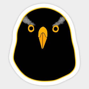 Black Goshawk with yellow eyes Sticker